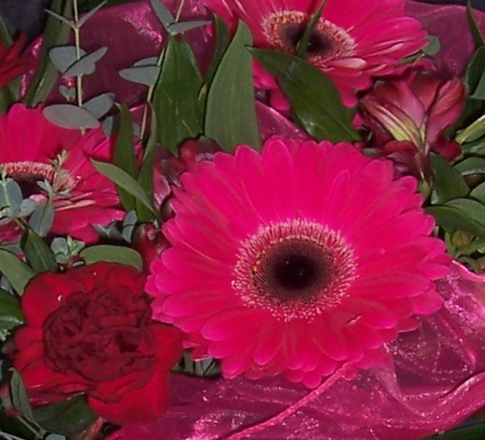 Berry Shades Arrangement
